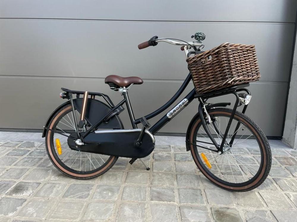 Fahrrad verkaufen Andere Daily Dutch Ankauf
